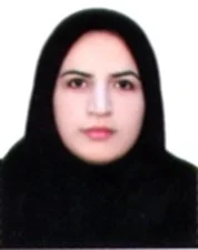 Dr. Mehrsa Basiri Moghaddam